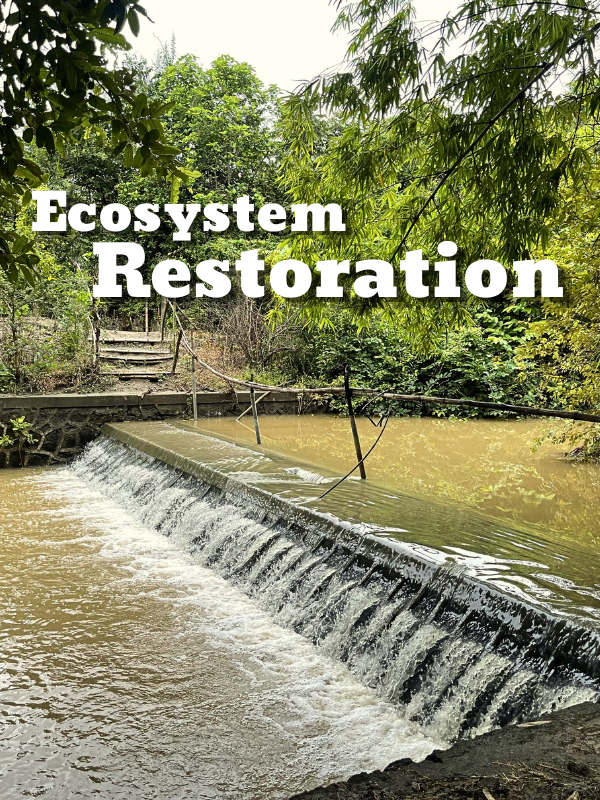 Ecosystem Restoration