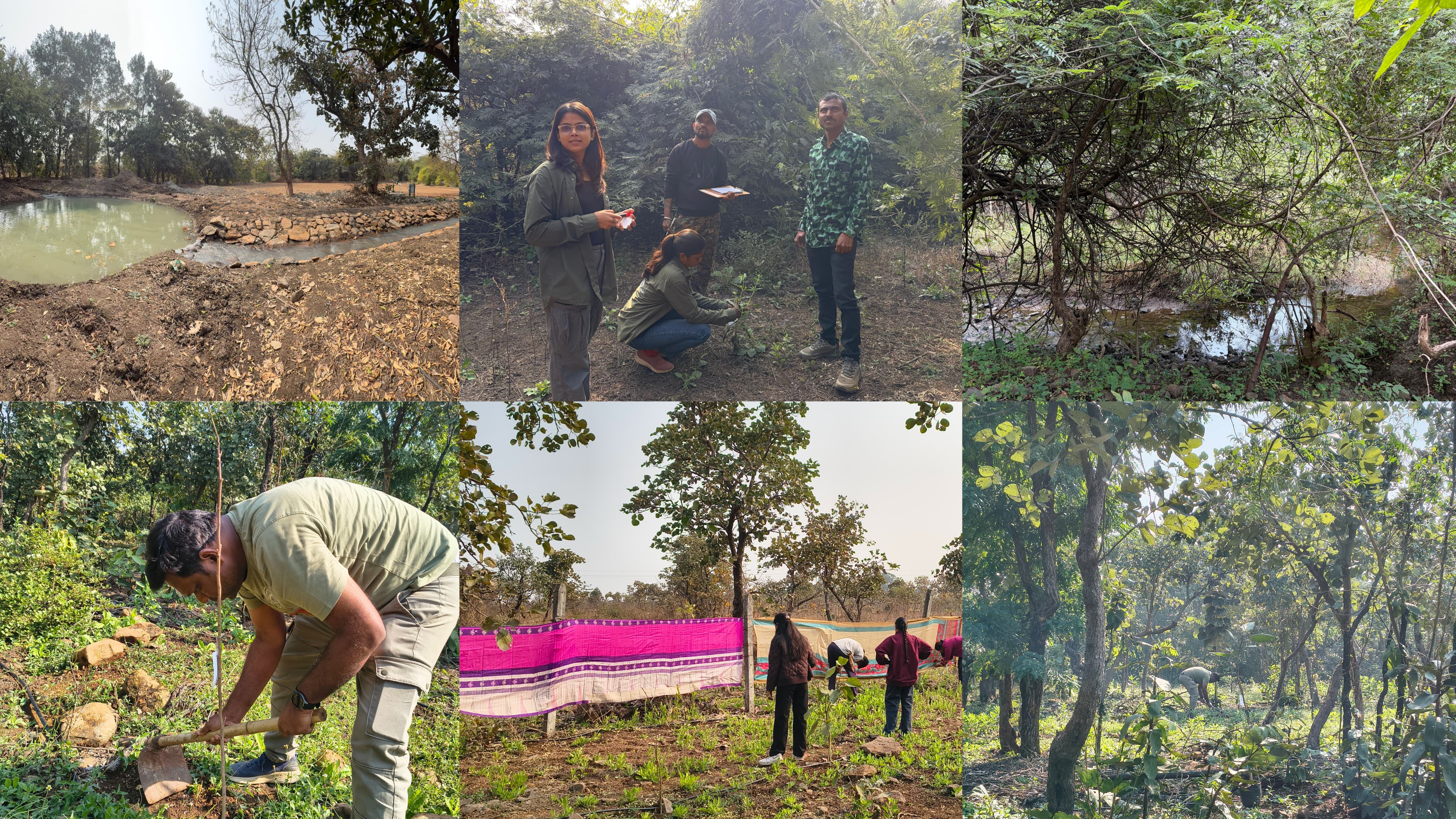 Ecosystem Restoration